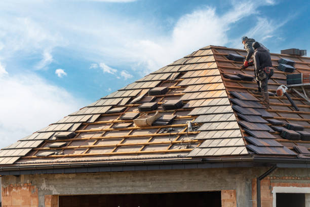 Best Skylight Installation and Repair  in Mount Pleasant, SC
